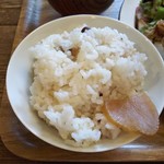 ヒメシャラ - 