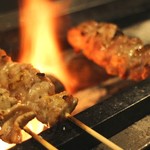 炭火焼鳥とうまい酒 立葵