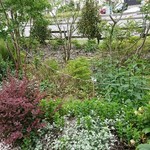 エル プランタン - 手入れが行き届いてます