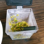 元祖一条流 がんこ総本家 - 荒々しい辛さの青唐辛子も出してくれます。