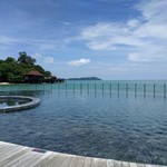 The Ritz Carlton - 敷地内のプール