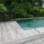 The Ritz Carlton - お部屋のプール。スッパ○カでは泳ぎませんでした。