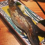 夜ノ焼魚 ちょーちょむすび - 