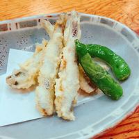 広島旨い物処 稲茶 - 
