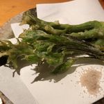 鈴しろ - 天然たらの芽、こしあぶら天ぷら