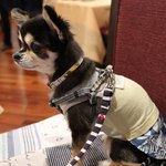 軽井沢ホテルそよかぜ - 