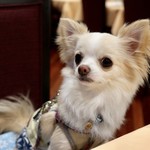 軽井沢ホテルそよかぜ - 