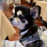 軽井沢ホテルそよかぜ - 