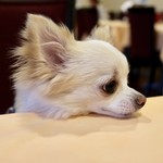 軽井沢ホテルそよかぜ - 