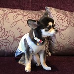 軽井沢ホテルそよかぜ - 