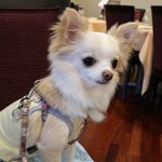 軽井沢ホテルそよかぜ - 