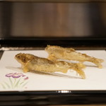 天ぷら　酒菜　醍醐 - 稚鮎