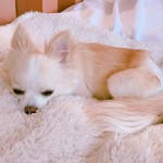 軽井沢ホテルそよかぜ - 