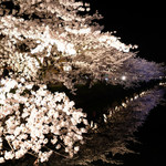 chez-moi - 外濠に映る幻想的で美しい桜