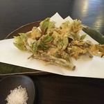85197340 - ふきのとうとこしあぶらの天ぷら