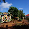 Dole Plantation
