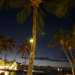 Brown's Beach House Restaurant - 