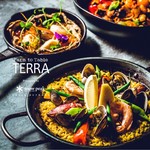 Farm to Table TERRA - 