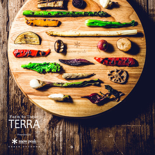 Farm to Table TERRA_1