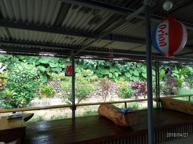 パーラー ぱいぬ島 パーラー パイヌシマ 竹富町その他 甘味処 食べログ