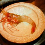 魚問屋　魚一商店 - ぼたんえび、むいた姿