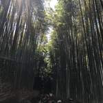 Resutoran Arashiyama - 