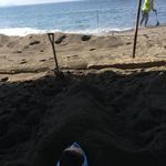 いぶすき 秀水園 - 指宿と言えばやっぱり‼︎ 砂むし温泉♡