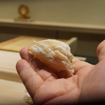 鮨 なんば - 白魚　　　　38℃/41℃