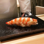 鮨 なんば - 車海老　　　38℃/27℃