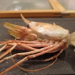 鮨榮 - ボタン海老
