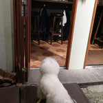 リストランテ ピッツェリア ジャンカルロ トウキョウ - ピッツァの焼ける匂い〜♬