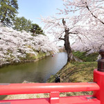 85254172 - 快晴で満開の美しい桜