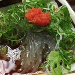 どんこ - どろめさん、ピカピカです。