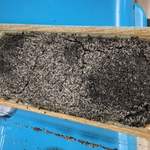 主婦の店 さいち - 