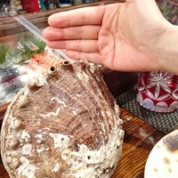 江戸心 山ぼうし - 