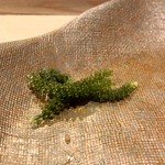 うを徳 - 海ぶどう