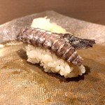 うを徳 - 愛知 蝦蛄（握り）