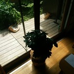 カフェと雑貨と猫 35 - 猫3匹