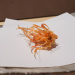 にい留 - 海老の頭