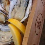 ディアボロちゃんの夢 - 