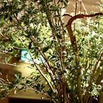 ファイ - シンボル