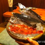 魚 しんのすけ - 2011年7月　6種のおさかなから焼き魚または煮魚を選ぶ