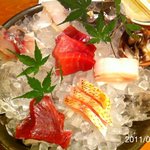 魚 しんのすけ - 2011年7月　刺身7点盛