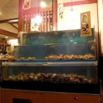 根室花まる - 回転寿司 根室花まる 南郷店