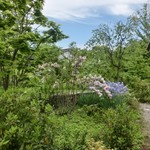 レセプションガーデン - 