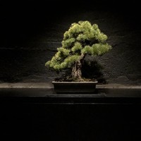中目黒いぐち 麻布十番店 - 