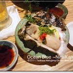 Sakananogintoto - 岩牡蠣