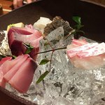 紀州山海料理 愚庵 - 紀州魚五種盛り