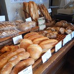 トラン・ブルー - 