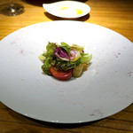 ドディチ・マッジョ - 